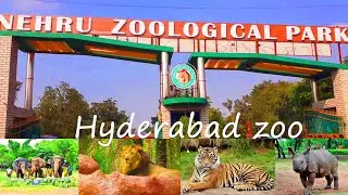 Nehru Zoological Park hyderabad |#Myweekend​story |Travelogs