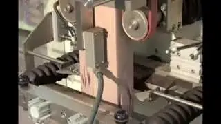 Envasadora Vertical Modelo V-250 INNOENVAS