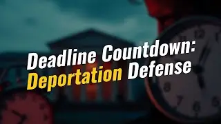 4 критических срока в управлении иммиграционным кризисом 🕒 Что делать, когда время истекает