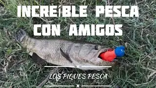 🔥 MUCHAS TARARIRAS 🎣 PESCA CON AMIGOS EN ARROYO Y LAGUNAS ♻️ / LOS PIQUES PESCA / GUALEGUAYCH&Uacute; 