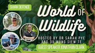 [WOW] QLD Shark Defence with Jonathan Clark [June25]