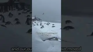 Bizarre moment in nature!