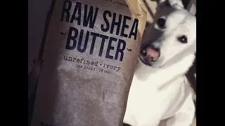 The BEST Shea Butter on Amazon.com: Raw Apothecary Unrefined Raw Shea Butter