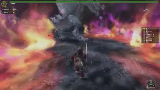 Monster Hunter Frontier - HR4 - White Espinas - Dual Blades