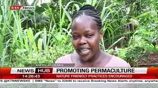 Kenyan farmers benefit from permaculture training to enhance environmental conservation