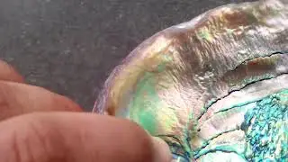 VID 20180528 181122