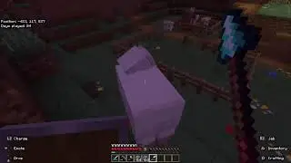 Minecraft getting all trophies ep15 the end fight!!!