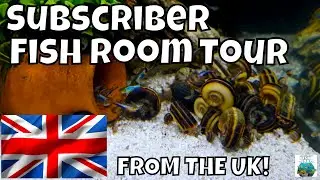 Subscriber Fish Room Tour FROM THE UK!