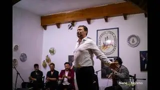 José Valencia - Giraldilla flamenca 2024