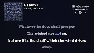 Psalms 1 - Righteous?