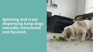 GURU Pet Company Spin & Treat Stick Dog Toy In Action!