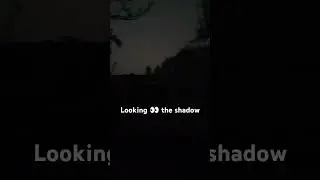 look at the  shadow from #tree create a human face 😧😈