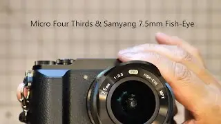 M43 and Samyang 7.5 Fish-Eye for street photography