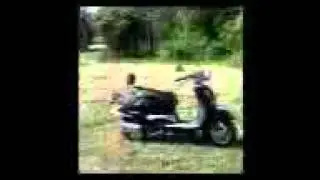 Quibids Scooter Madness!!!!!