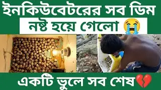 একটি ভুলে ইনকিউবেটরের সব ডিম নষ্ট হয়ে গেলো! 😭 Quail Incubator Mistake Explained
