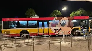 🔴 В прямом эфире 🚌 Автобусная станция Nova Bus Disney World 🚌 Марки Маус в прямом эфире!