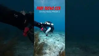 PADI Tec 40 CCR Course in Bonaire | An Amazing Rebreather Adventure #scubadiving #travel