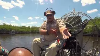 Captain Jack's Airboat Tour - Everglades City Florida with Alligator Sighting