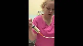 VET407 Chicken Crop Feeding Demonstration - Holly Ruffles