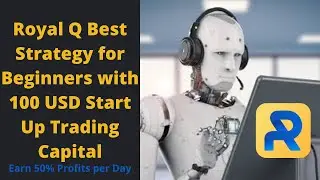 Royal Q Best Strategy for Beginners with 100 USD Start Up Trading Capital (Earn 50% Profits per Day)