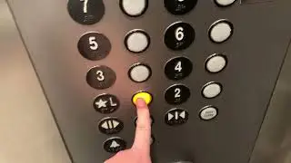 Main ThyssenKrupp Elevators at the Renaissance Tampa International Plaza Hotel, Tampa FL
