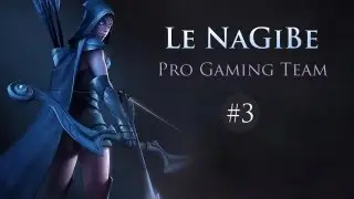 Le NaGiBe Pro Gaming Team #3