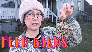 Knee Surgery, Garden Walk & My Better Bird Feed Recipe