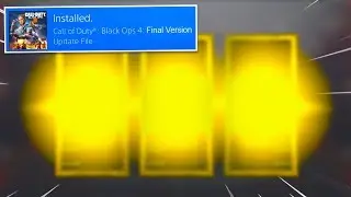 THE FINAL UPDATE! (Treyarch Gave Up on Black Ops 4 😭)