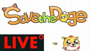 Save The Dog: The Live Resurrection of a Meme