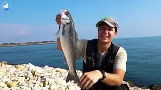 IL MESE DELLE SPIGOLE ~ Pesca Bolognese con GAMBERO VIVO ~