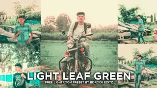 Lightroom mobile presets free dng | Light Leaf Green lightroom presets 2022 free