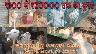 Sonpur Mela 2022 || Exploring Sonpur Mela Dog's Market 2022 || Ujjwal Singh @Matargashtivlogs