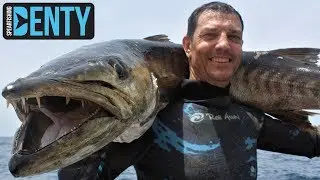 Chasse sous-marine aux Barracuda G&eacute;ant du S&eacute;n&eacute;gal.
