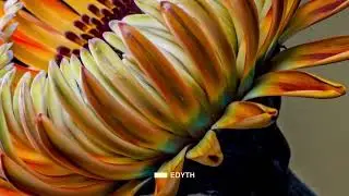 Edyth- AIRDROP (Full Album)