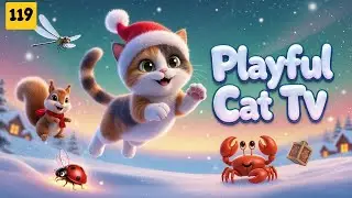 Playful Cat TV &ndash; Joyful Games That Spark Curiosity in Every Cat&rsquo;s World