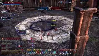 TERA: Sorc Champion's Skyring 15