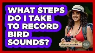 What Steps Do I Take To Record Bird Sounds?