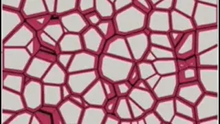 Steel solidification modelling: nozzle clogging, segregation 7 semi-solid deformation; Andr&eacute; Phillon