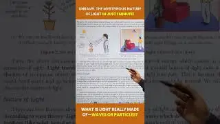 Nature of Light | S Chand Academy