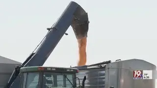 Alabama Farmers Weather the Storm of High Costs | Sept. 9, 2025 | News 19 at 6 p.m.