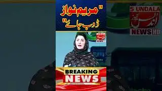 CM Punjab Maryam Nawaz Responds to Critics #undalasnews #maryamnawaz #shorts #pmln #cmpunjab #flood