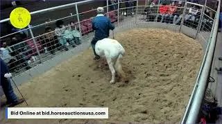 Jones Livestock Auction - Jones, Oklahoma