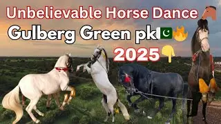 🔥 Unbelievable Horse dance on Dhool | Ghora Dance | Gulberg Greens Pk |🐴👍#horse#horsedance #pakistan