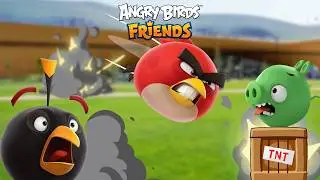 Strangers play Angry Birds but in REAL LIFE! 💥