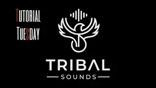 SETTING UP A TEMPLATE FOR MUSIC PRODUCTION | TUTORIAL | TRIBAL SOUNDS | UNIVERSAL AUDIO LUNA