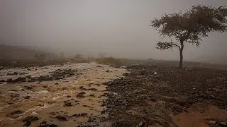 أمطار وسيول طريق الحرة تبوك 1436/2/17