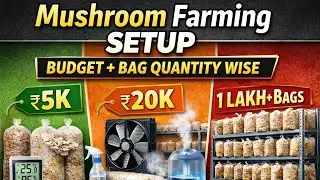 Mushroom Farming Start Karne Ke Liye Kaun Sa Material & Machine Chahiye? Budget + Bag Quantity Wise