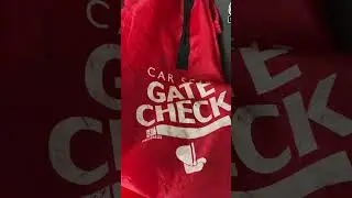 Gate Check Bag for Car Seats Review