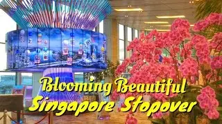 Blooming Beautiful Singapore stopover | TheRainQueen.com