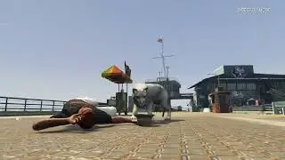Mountain lion Killing people in Gta5